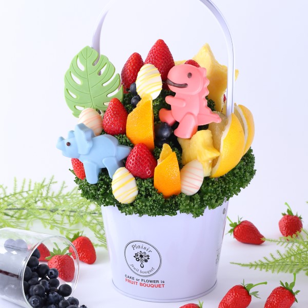 (冬)Dinosaure（ディノゾール）