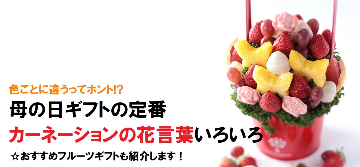 【母の日にフルーツギフトを贈ろう】色ごとに違う?カーネーションの花言葉