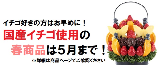 人気のイチゴ使用の春のフルーツギフトは5月まで!ご購入はお早めに