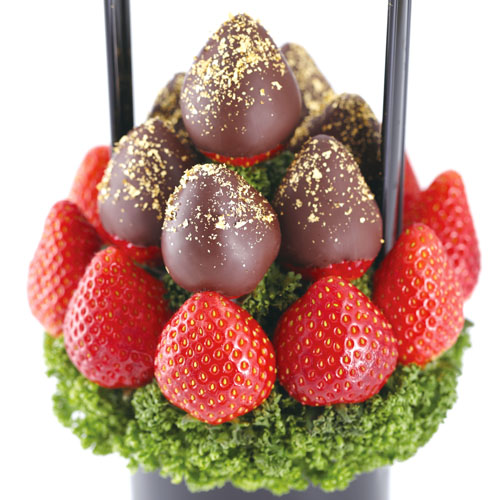 （冬）Petit BERRY BERRY(黒)