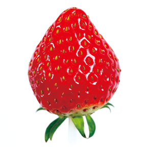 イチゴ